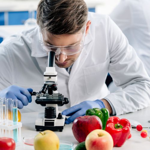 Food testing services